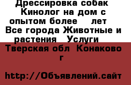 Дрессировка собак (Кинолог на дом с опытом более 10 лет) - Все города Животные и растения » Услуги   . Тверская обл.,Конаково г.